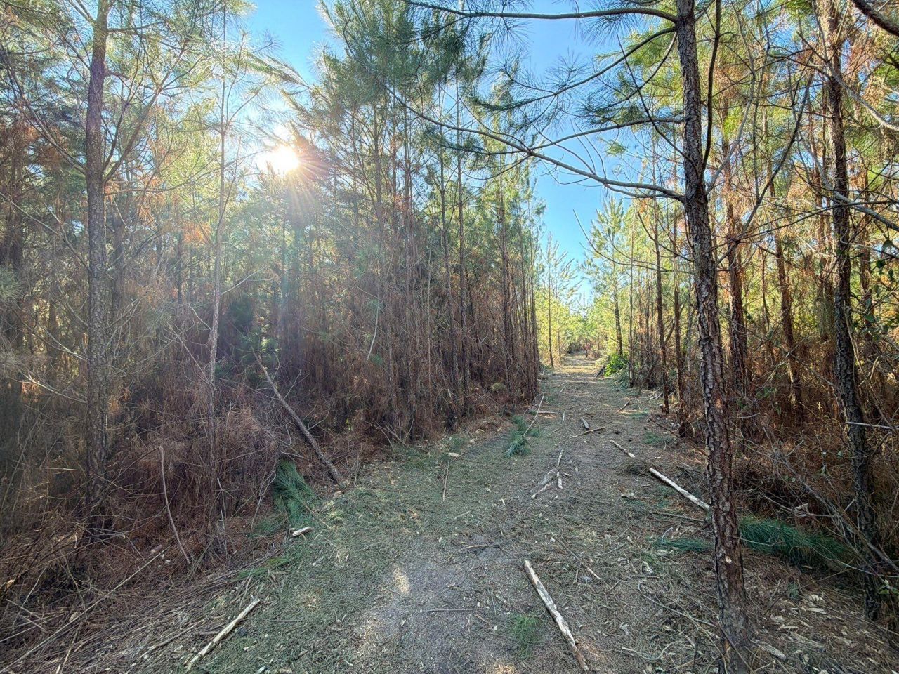 Bff II 7 Brunson Teal Rd Road Photo 15