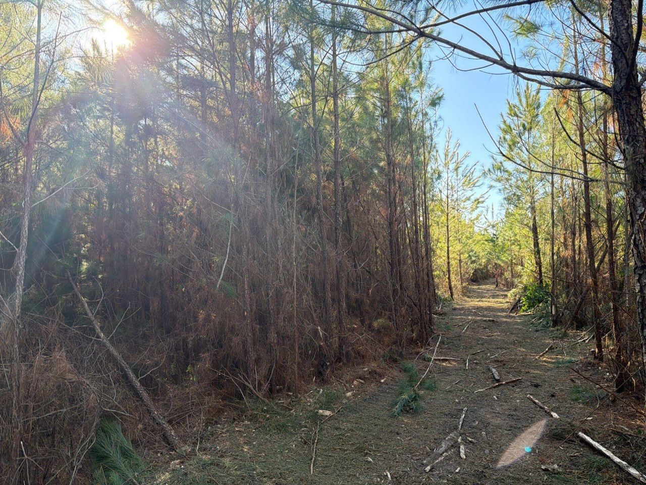 Bff II 7 Brunson Teal Rd Road Photo 16