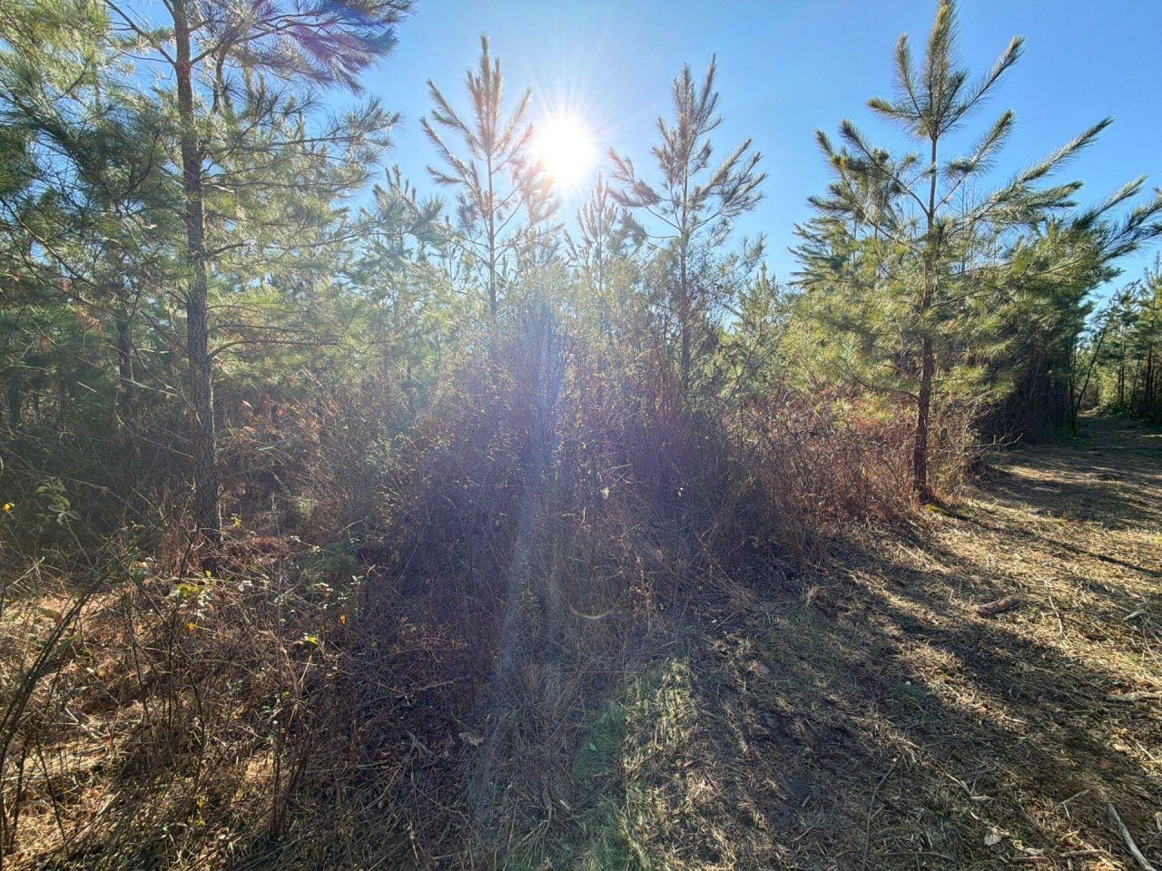 Bff II 7 Brunson Teal Rd Road Photo 17