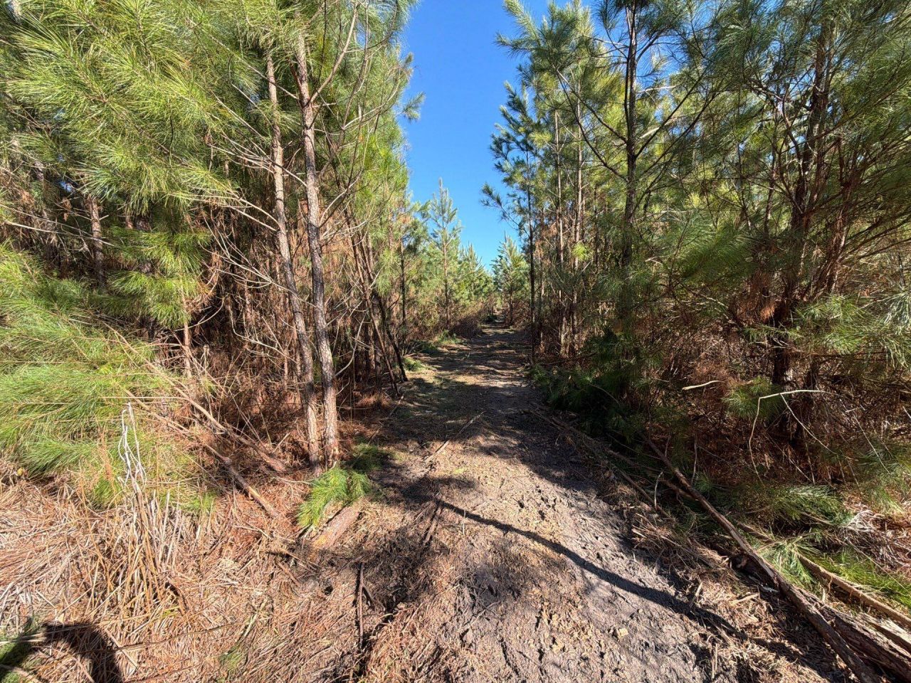 Bff II 7 Brunson Teal Rd Road Photo 21