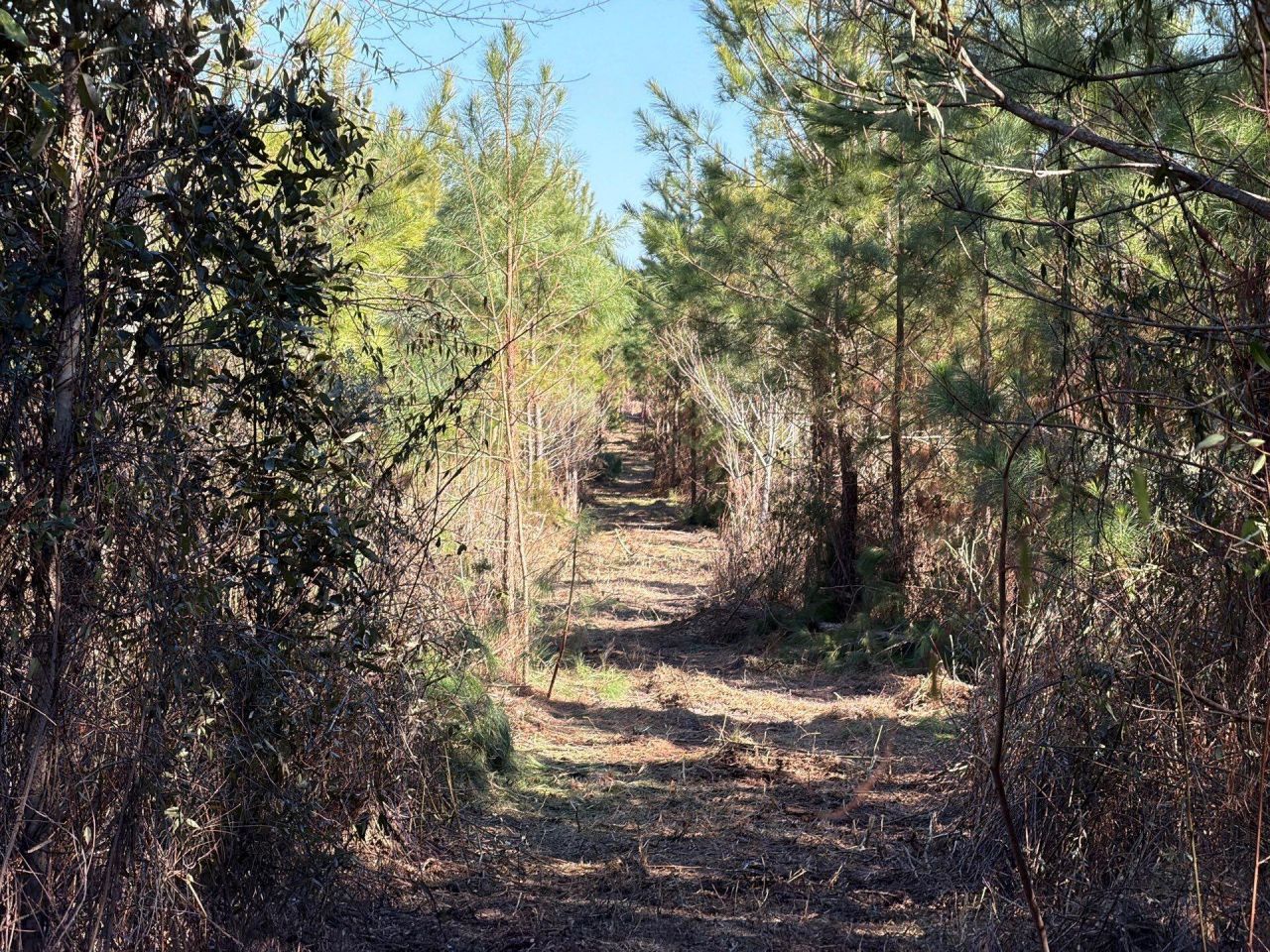 Bff II 7 Brunson Teal Rd Road Photo 22