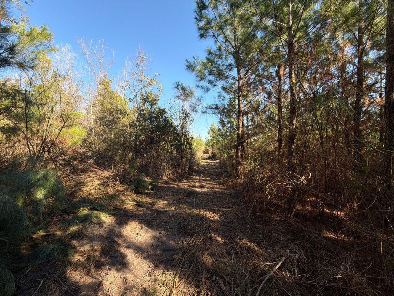 Bff II 7 Brunson Teal Rd Road Photo 23