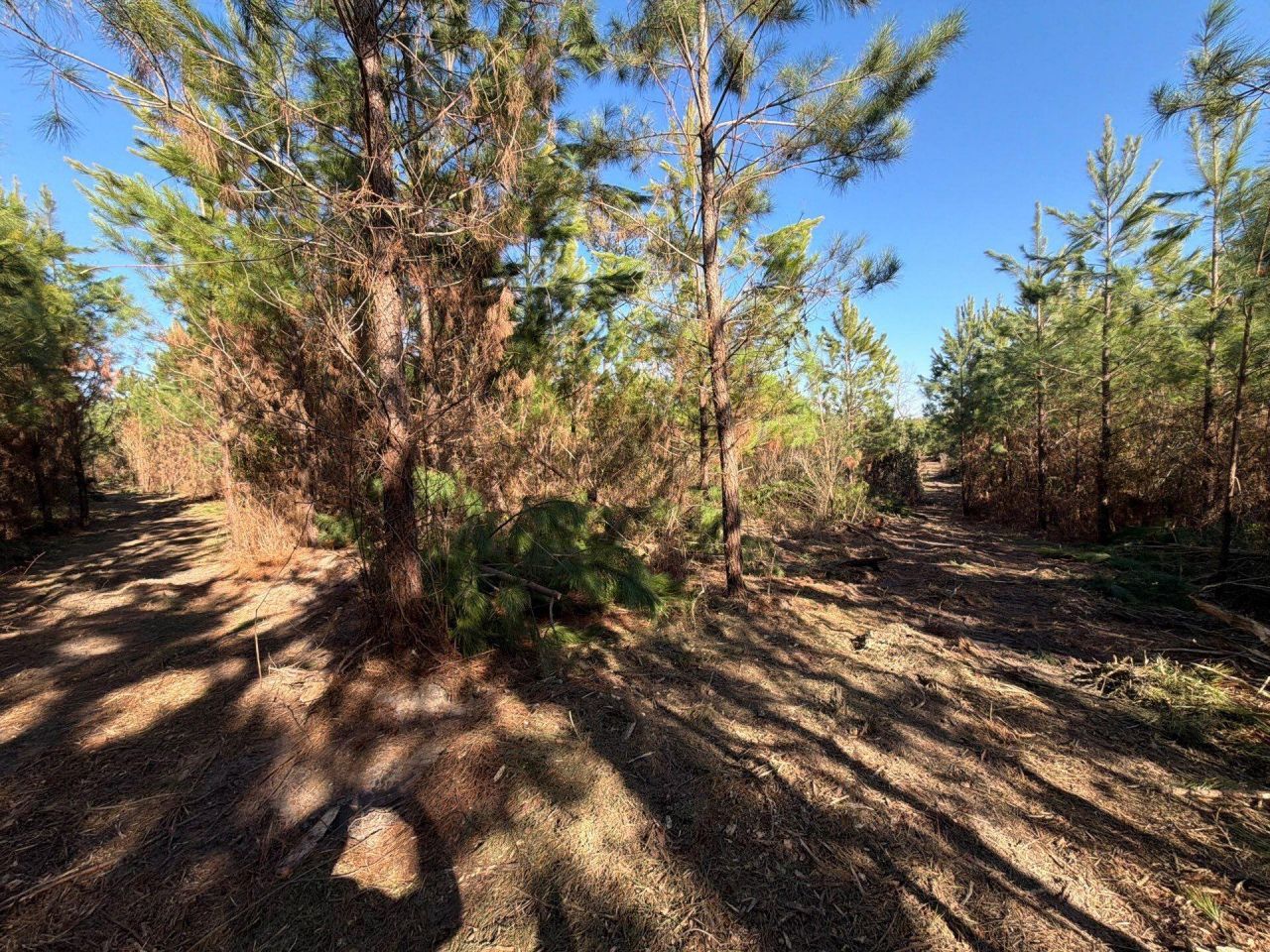 Bff II 7 Brunson Teal Rd Road Photo 24