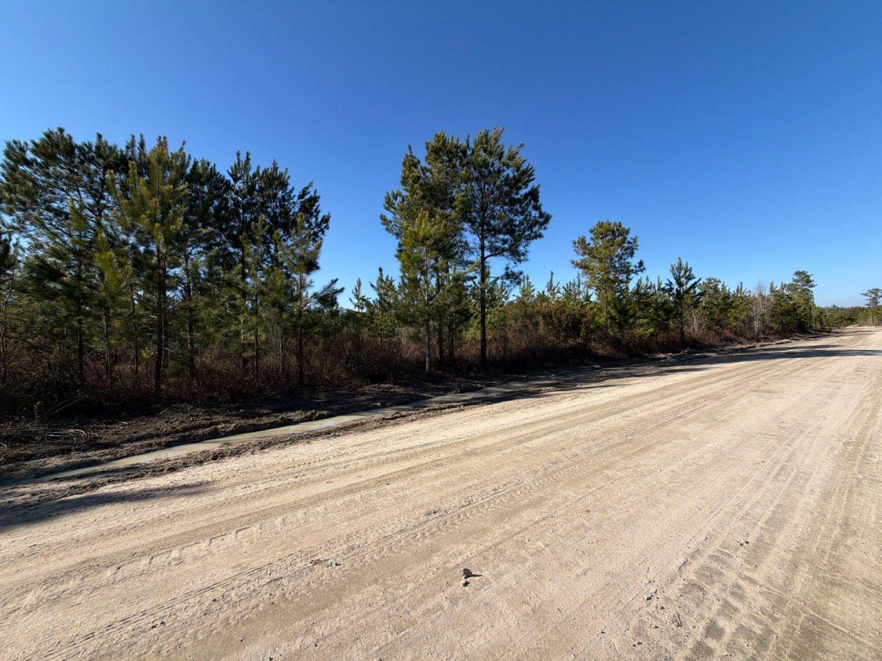 Bff II 7 Brunson Teal Rd Road Photo 4