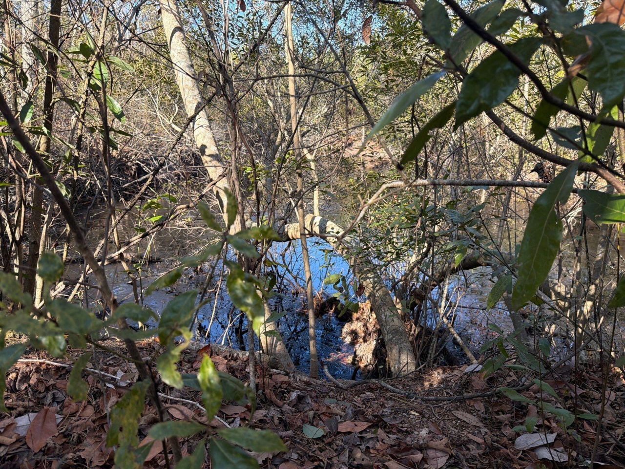 Bff II 7 Brunson Teal Rd Road Photo 5