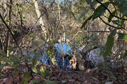 Bff II 7 Brunson Teal Rd Road photo 4