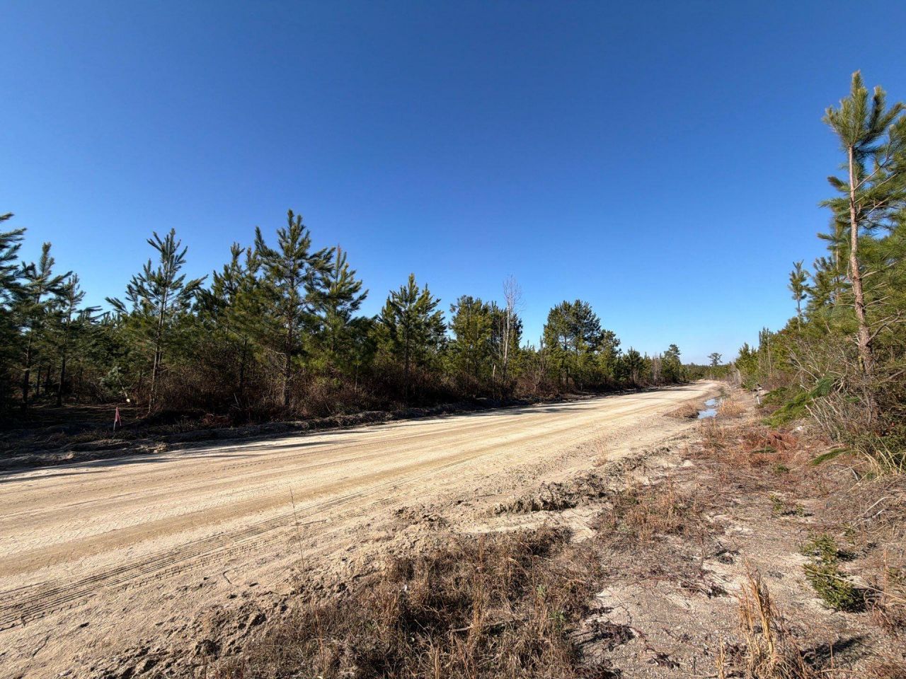 Bff II 7 Brunson Teal Rd Road Photo 7