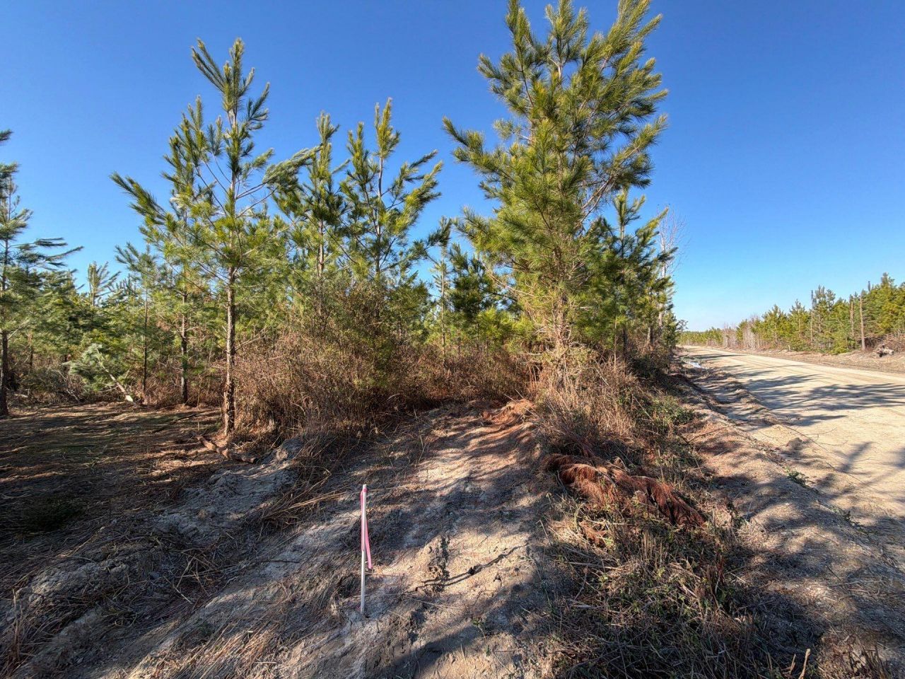 Bff II 7 Brunson Teal Rd Road Photo 9