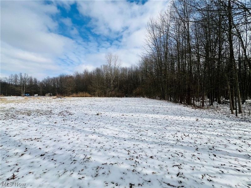 10175 Oyster Road, Alliance, OH 44601 Photo 8