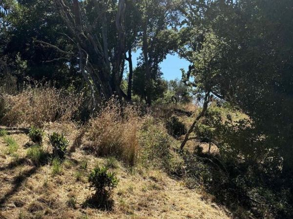 Spring Rd , Orinda, CA 94563