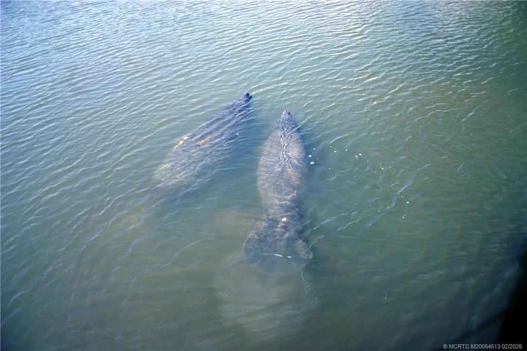 5248 SW Anhinga Avenue, Palm City, FL 34990 Photo