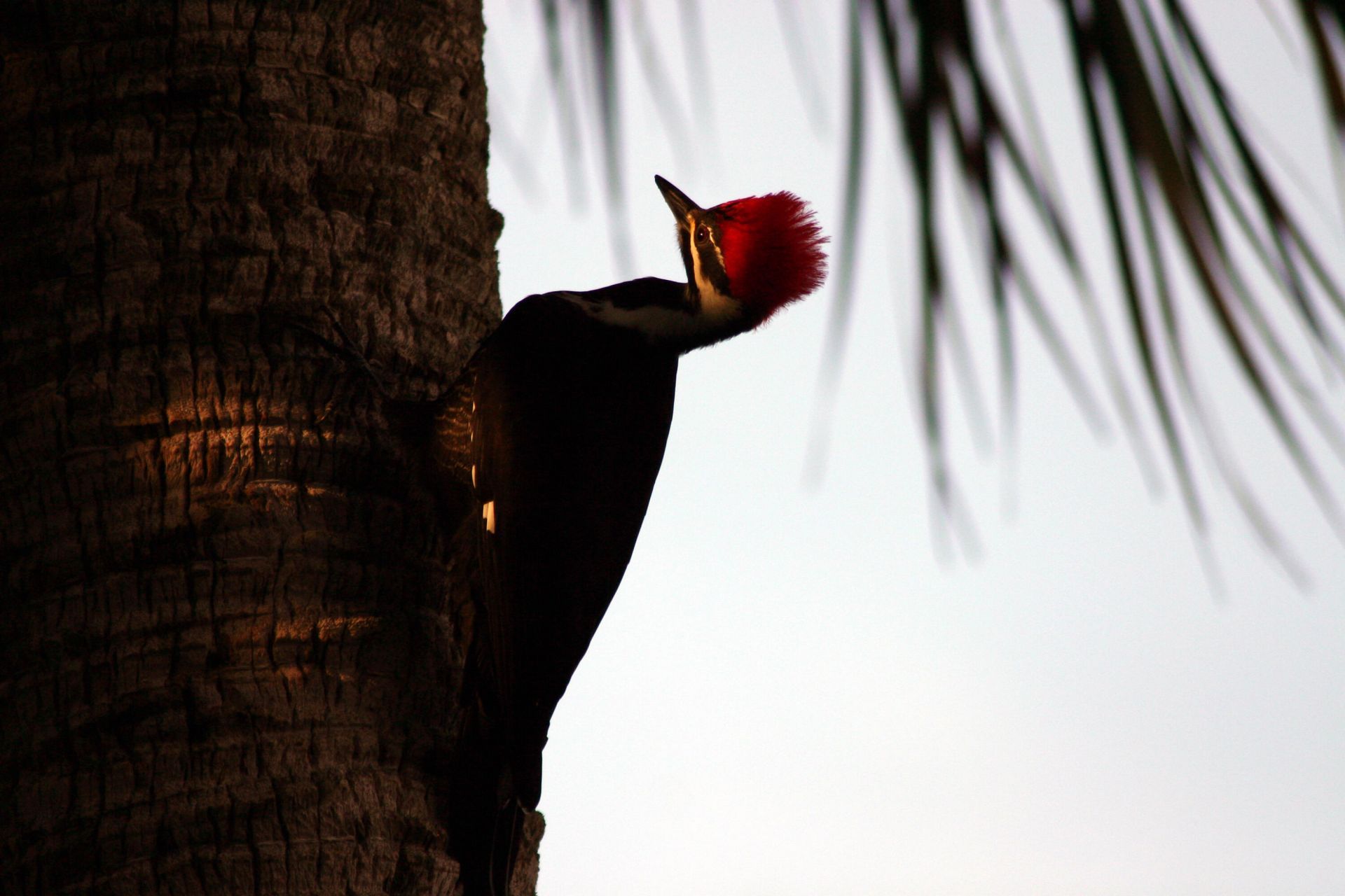 5248 SW Anhinga Avenue, Palm City, FL 34990 Photo