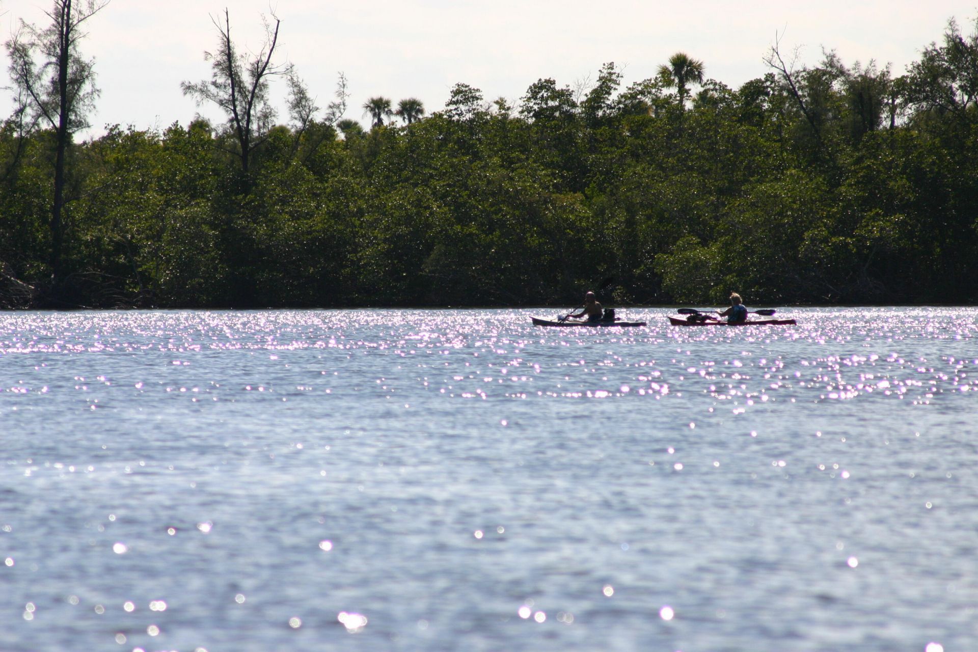 5248 SW Anhinga Avenue, Palm City, FL 34990 Photo