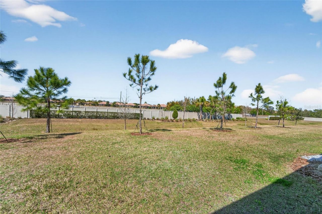 188 Mangrove Shade Circle , Apollo Beach, FL 33572 Photo