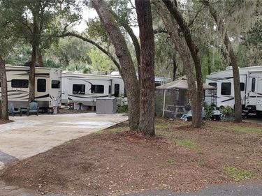 25160 140TH LOOP NE, SALT SPRINGS, FL 32134