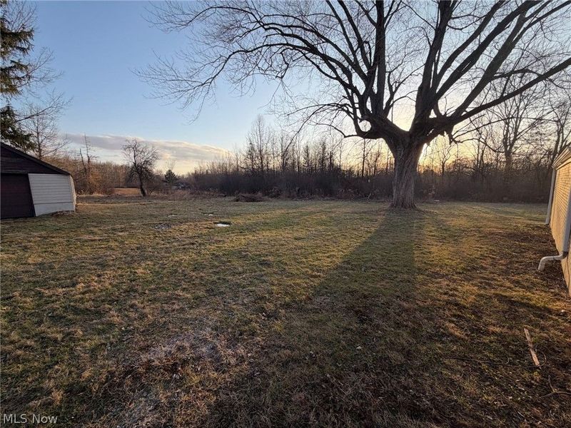 4055 Center Road, Poland, OH 44514 Photo 28