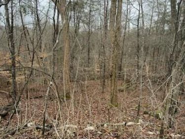 Tract 20 Buck Tail Drive, Unit 20, Bronston, KY 42519