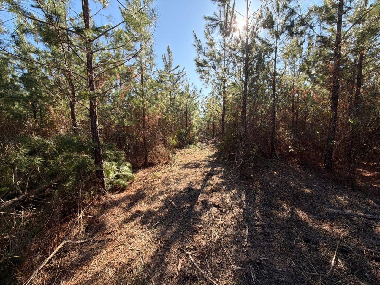 Bff II 8 Brunson Teal Rd Road Photo 13