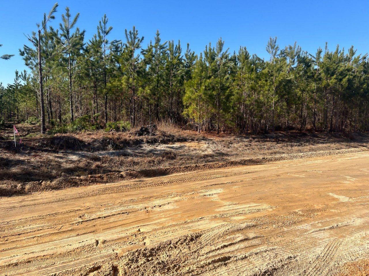 Bff II 8 Brunson Teal Rd Road Photo 14