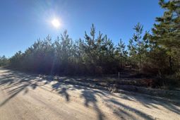 Bff II 8 Brunson Teal Rd Road photo 4