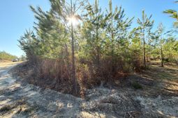 Bff II 8 Brunson Teal Rd Road photo 4