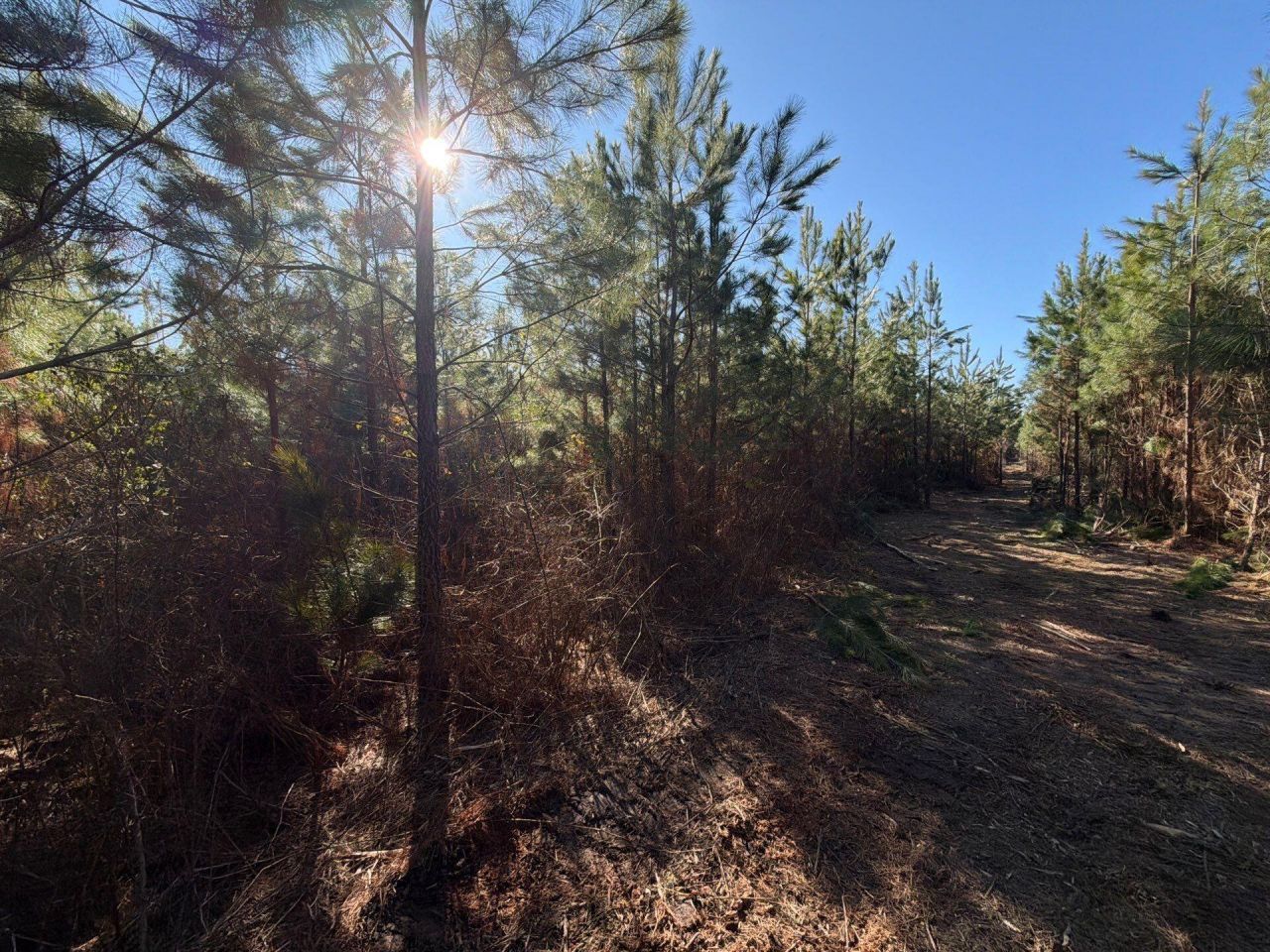 Bff II 8 Brunson Teal Rd Road Photo 4