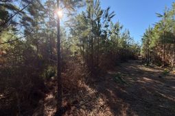 Bff II 8 Brunson Teal Rd Road photo 4