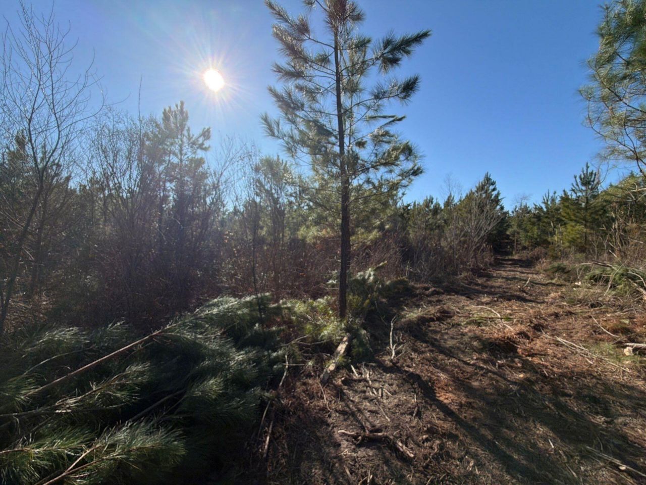 Bff II 8 Brunson Teal Rd Road Photo 7