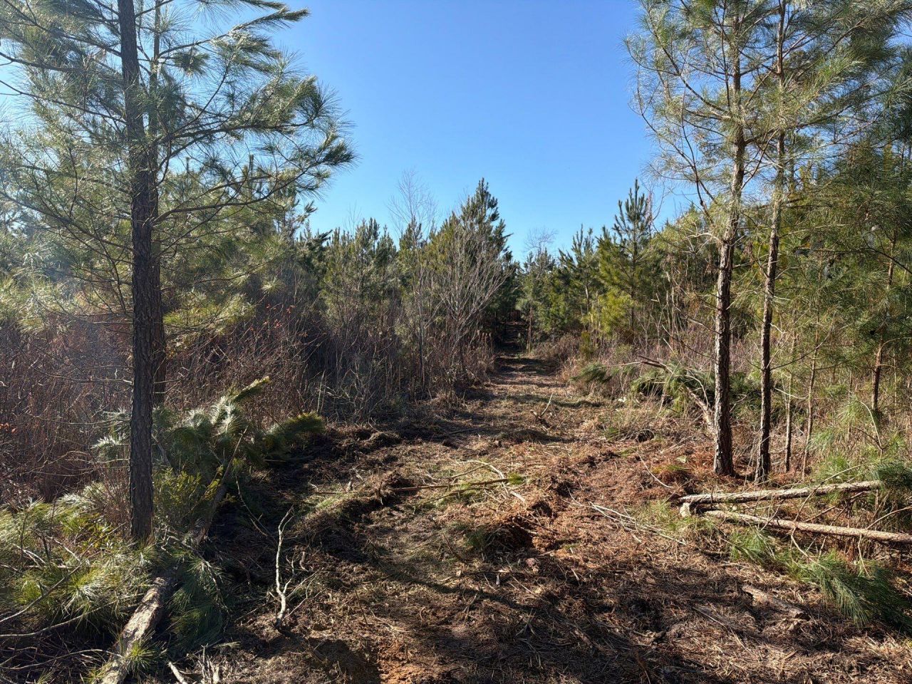 Bff II 8 Brunson Teal Rd Road Photo 8