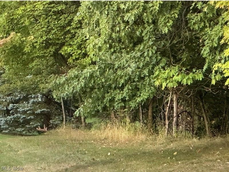 7790 Arbor Way, Unit 31, Parma, OH 44134 Photo 41