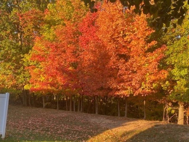 7790 Arbor Way, Unit 31, Parma, OH 44134 Photo 42