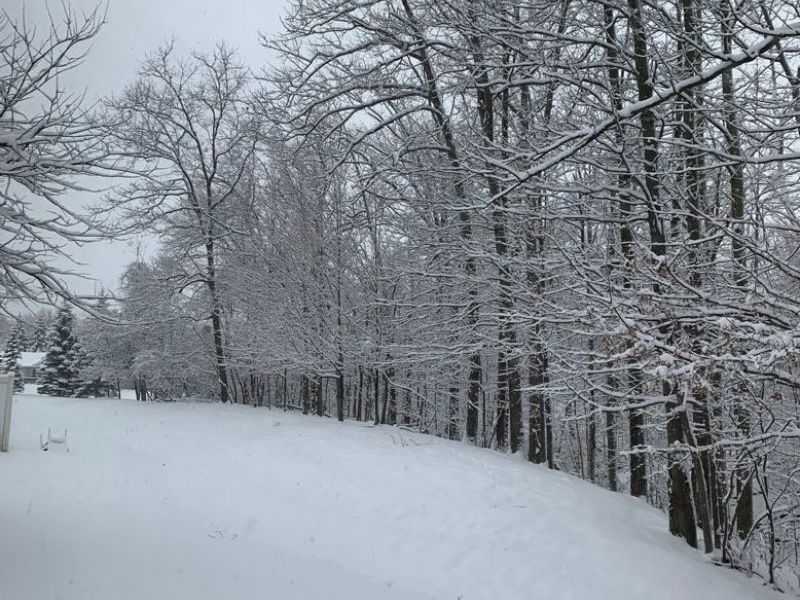 7790 Arbor Way, Unit 31, Parma, OH 44134 Photo 44