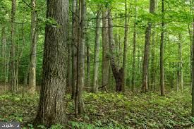 3964 Hidden Valley Lane, Marshall, VA 20115 Main Photo