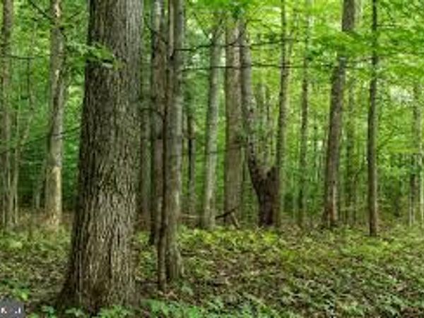 3964 HIDDEN VALLEY LANE, MARSHALL, VA 20115