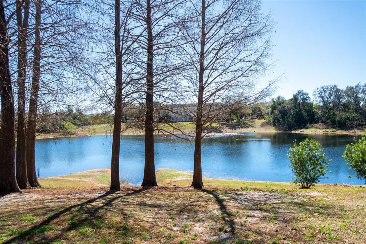 6384 Raleigh Street, Unit 2205, Orlando, FL 32835 Photo