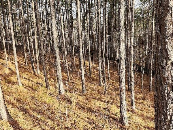 0 Whistler Lane, Canton, GA 30114