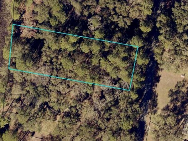 0 Horseshoe Cove Road, Waverly, GA 31565