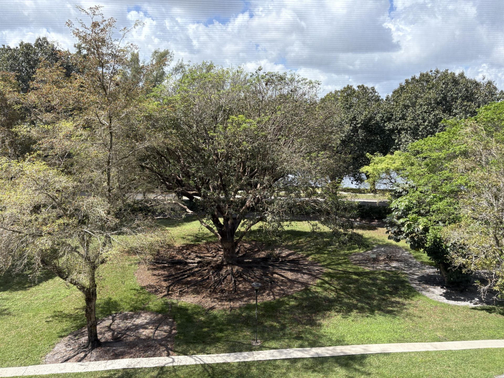 Please Call For Address, Lauderhill, FL 33319 Photo