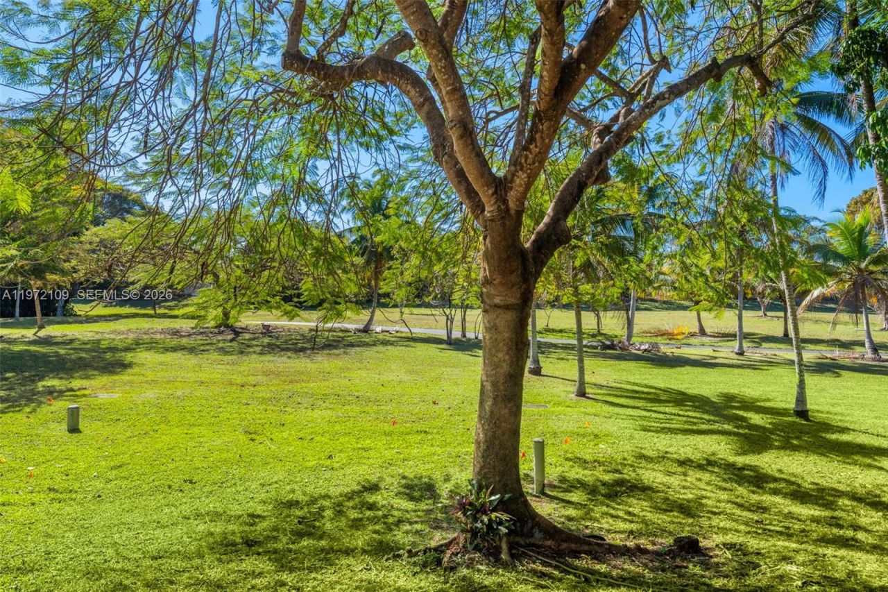 9002 SW 62nd Ter, Unit 7-D, Miami, FL 33173 Photo