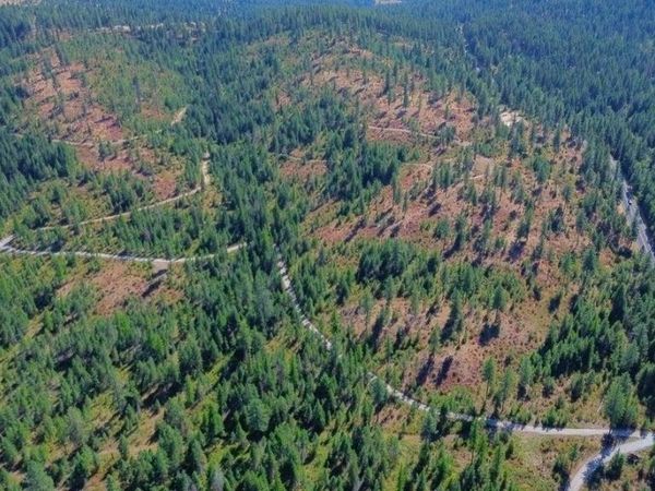 52XX Lot 5 S Swenson Rd, Deer Park, WA 99006