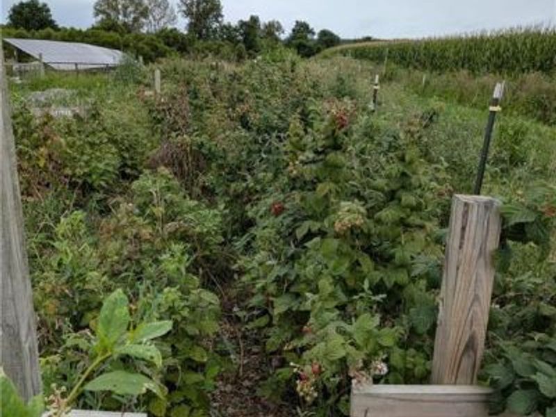 2450 Beaver Valley Road, Dayton, OH 45434 Photo 73