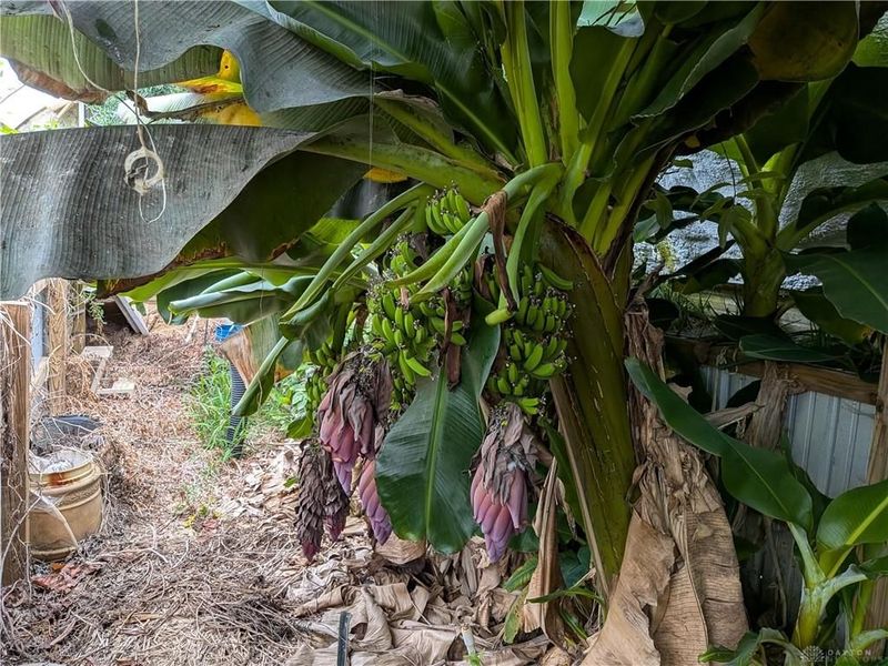 2450 Beaver Valley Road, Dayton, OH 45434 Photo 78