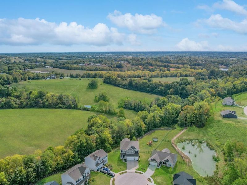 384 Chardonnay Valley, Walton, KY 41094 Photo 47