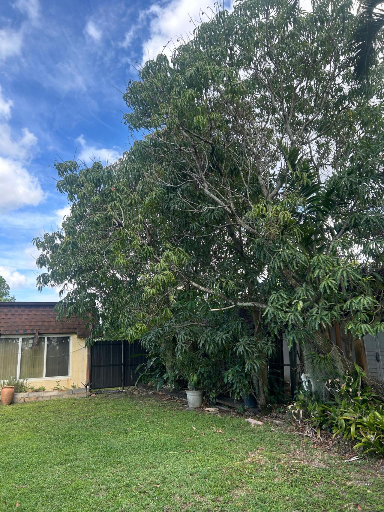 19112 W Lake Drive, Hialeah, FL 33015 Photo