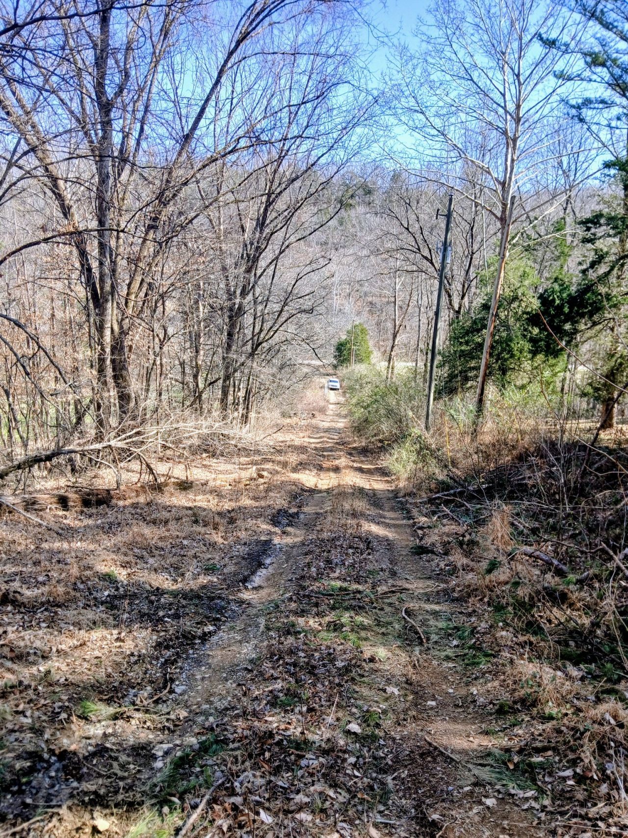 1014 Indian Springs Rd, Pegram, TN 37143 Main Photo