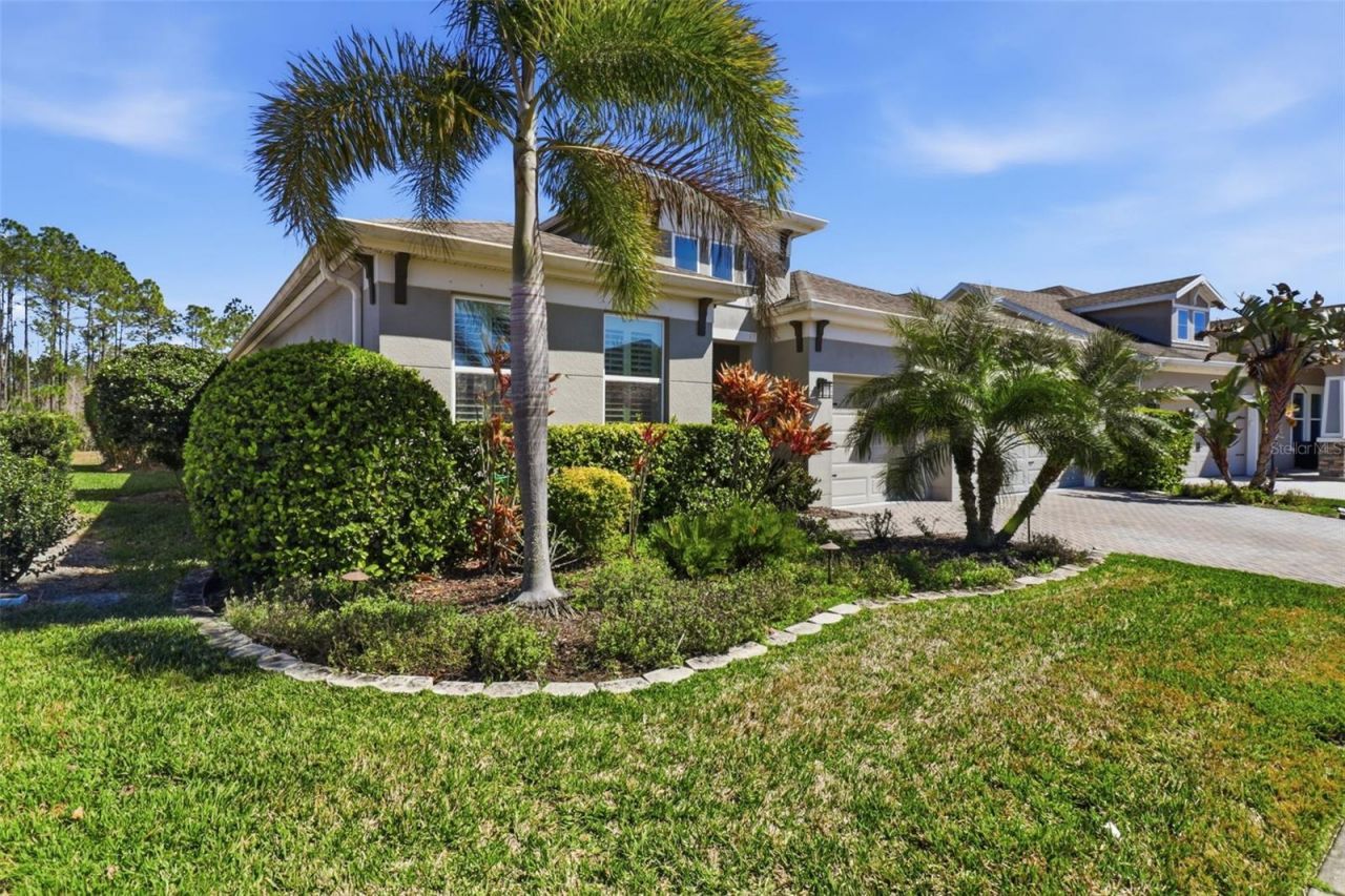 4626 Tour Trace, Land O Lakes, FL 34638 Photo