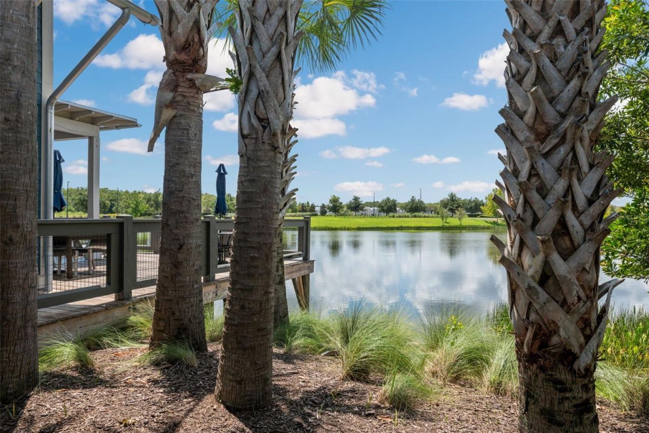 4626 Tour Trace, Land O Lakes, FL 34638 Photo