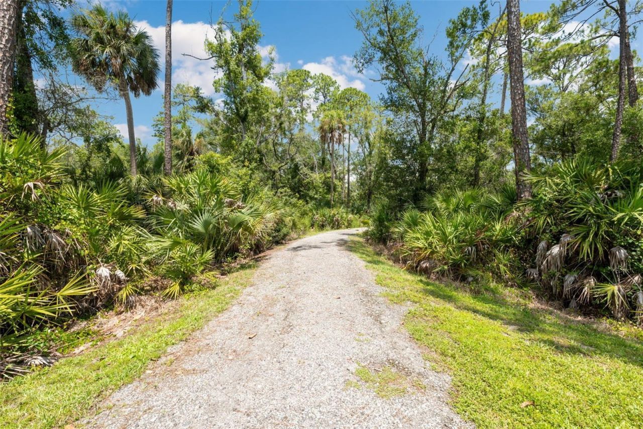 4626 Tour Trace , Land O Lakes, FL 34638 Photo