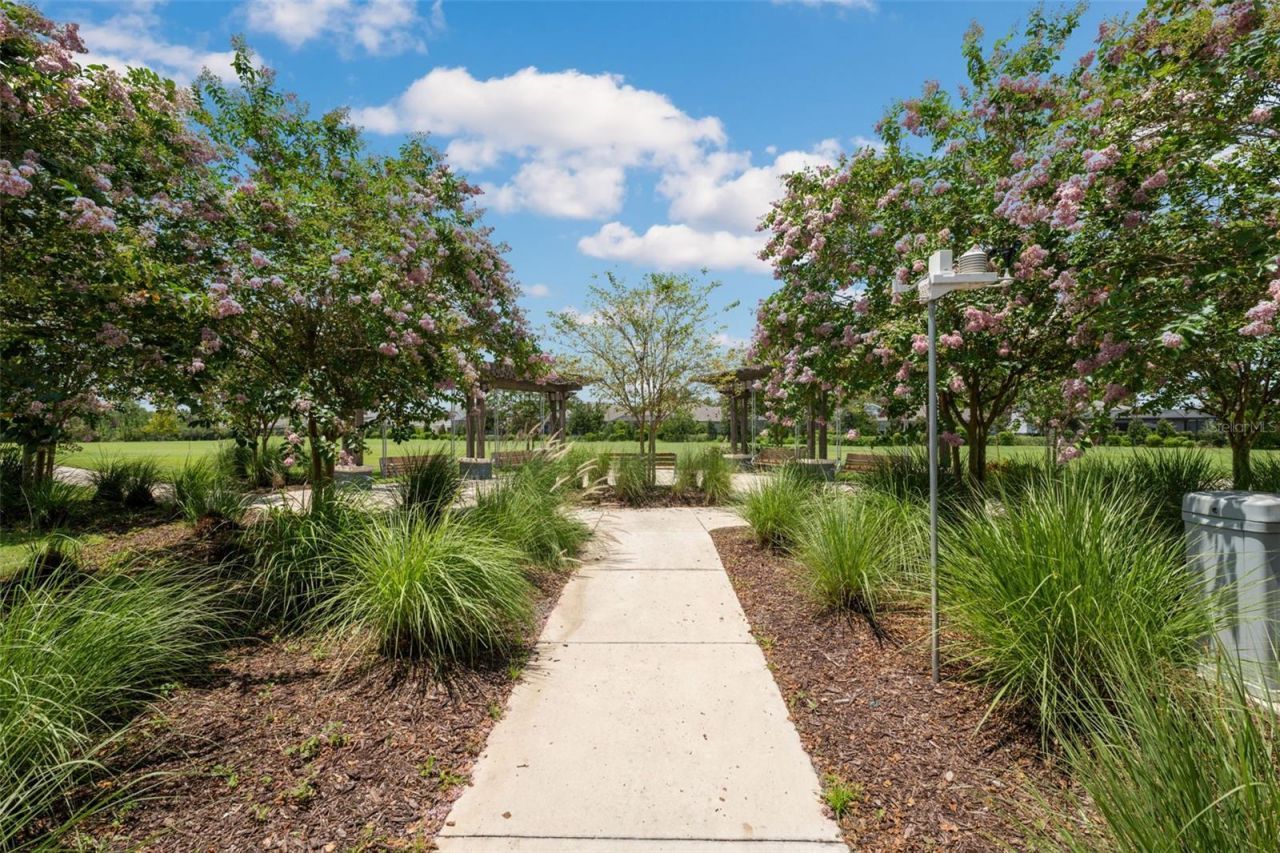 4626 Tour Trace, Land O Lakes, FL 34638 Photo