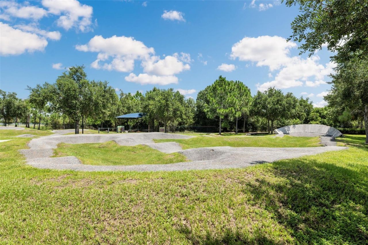 4626 Tour Trace, Land O Lakes, FL 34638 Photo